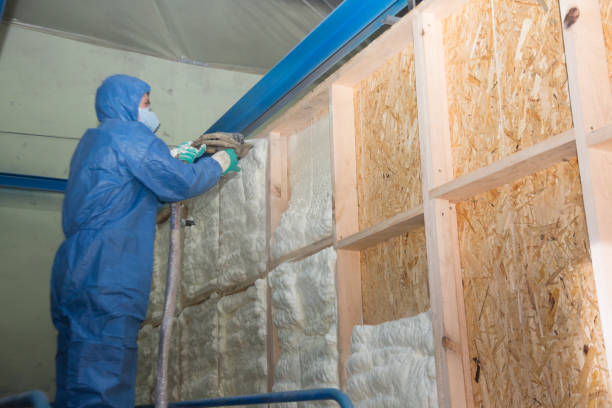 Best Insulation Contractors for Homes  in Hutchison, VA