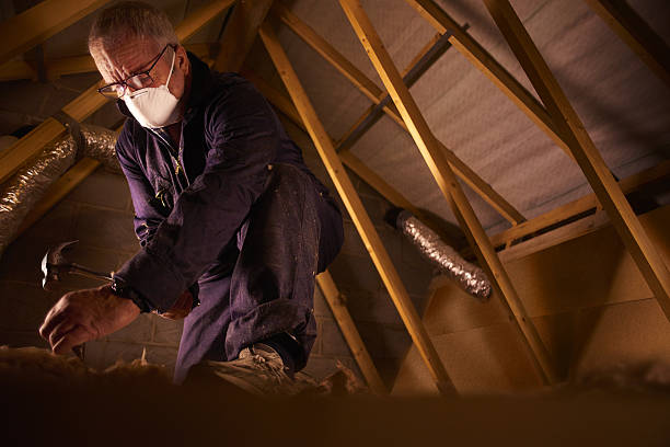 Best Soundproof Insulation Installation  in Hutchison, VA