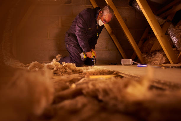 Best Insulation Removal  in Hutchison, VA